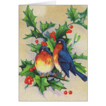Robins & Holly Christmas cards