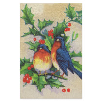 Robins & Holly Christmas