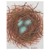 Robin's Nest Flyers