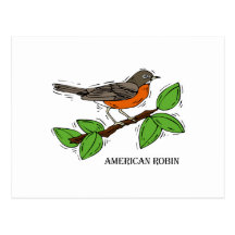 Robyn Robin Post Card