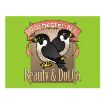 Rochester Beauty & Dot.Ca Postcards