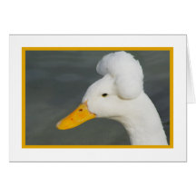 Rock-a-Billy Duck Greeting Card