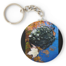 rock and a wet place keychains