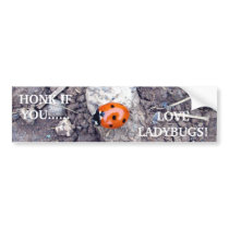 Rock Climber Ladybug Bumper Sticker