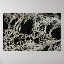 Rock formation, Gabriola Island, British Columbia, Print