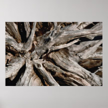 Rock formation, Gabriola Island, British Columbia, Print