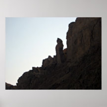 Rock fossils print