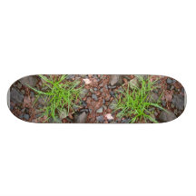 Rock Grass Skateboard