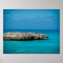 Rock in the Ocean Posters