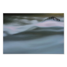 Rock in the stream photograph