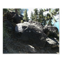 Rock In The Woods Photograph