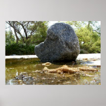 Rock In Water Poster