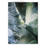 Rock Kiss cards