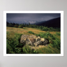 Rock On Hillside Poster