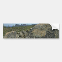 Rock Painting Bumper Sticker