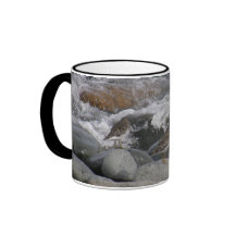 Rock Sandpiper (Calidris ptilocnemis) Mug