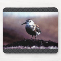 Rock Sandpiper Mousepad