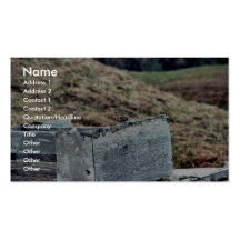 Rock Sandpiper on WWII Ruins Business Card Template