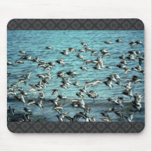 Rock Sandpipers Mousepad