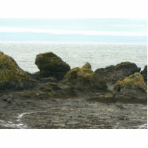 Rock Shore On Cost Photo Cut Out