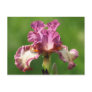 "Rock Star" Iris Photography Post Cards