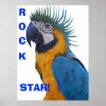 Rock Star Macaw Poster posters