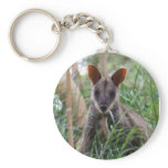 Rock Wallaby Keychain