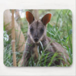 Rock Wallaby Mousemat