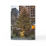 Rockefeller Center Christmas Tree 2010 Greeting Cards