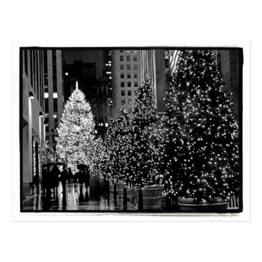 Rockefeller Centre Christmas Tree Postcard