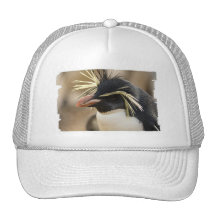 Rockhopper Penguin  Baseball Hat