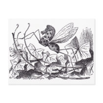 Rocking Horse Fly postcards
