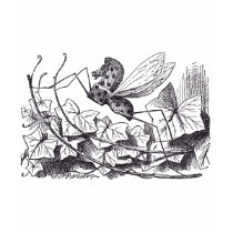 Rocking Horse Fly t-shirts