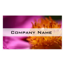 Rockrose rose carte de visite
