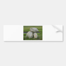 Rocks On Glen River In Ireland Bumper Sticker