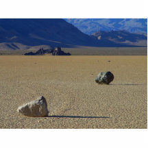 Rocks On Ground Photo Sculpture