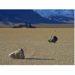 Rocks On Ground Photo Sculpture