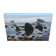 Rocky Beach in Olympic National Park Canvas Prints