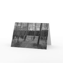Rocky Mountain Aspen, Note card by Mark Easton