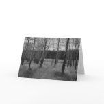 Rocky Mountain Aspen, Note card by Mark Easton