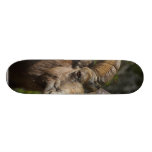 Rocky Mountain Bighorn Sheep Skate Board Deck