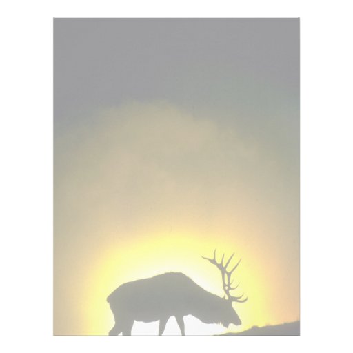 Rocky Mountain bull elk, Yellowstone National Park Custom Letterhead