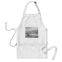Rocky Mountain Colorado Country Morning BW Apron