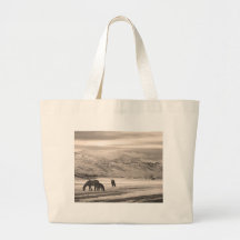 Rocky Mountain Colorado Longs Peak Country Morning Bag