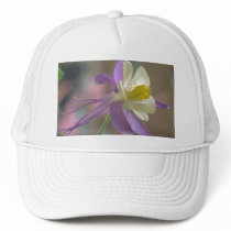 Rocky Mountain Columbine Hats