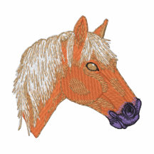 Rocky Mountain Horse