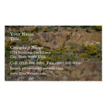 Rocky mountain landscape with bushes business card template