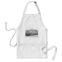 Rocky Mountain National Park Apron