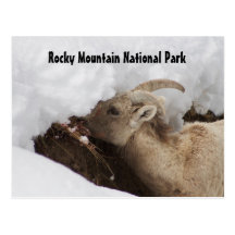 Rocky Mountain National Park Postcard