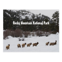 Rocky Mountain National Park Postcard